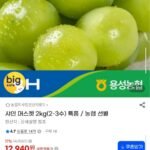 농협 선별 샤인머스켓 특품 2kg 2-3수