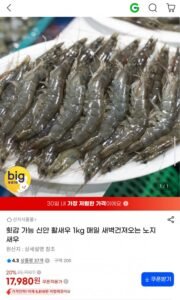 횟감 가능 신안 활새우 1kg