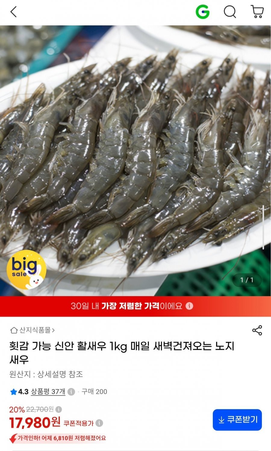 횟감 가능 신안 활새우 1kg
