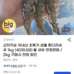 국내산 생물 흰다리새우 1kg