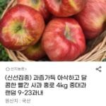 달콤한 빨간 사과 홍로 중대과 4kg