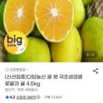다담농산 햇 극조생감귤 로얄과 4.5kg