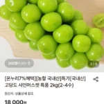 샤인머스켓 2kg 2-4수