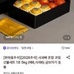 사과배 혼합 과일선물세트 1호 5kg (배6,사과6)