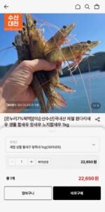 제철 생물 활새우 왕특대 1kg(26미내외