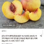 무주 반딧불 복숭아 2kg