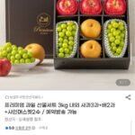 프리미엄 과일 선물세트 3kg 사과3과+배2과+샤인머스켓2수