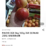 추희자두 대과 3kg
