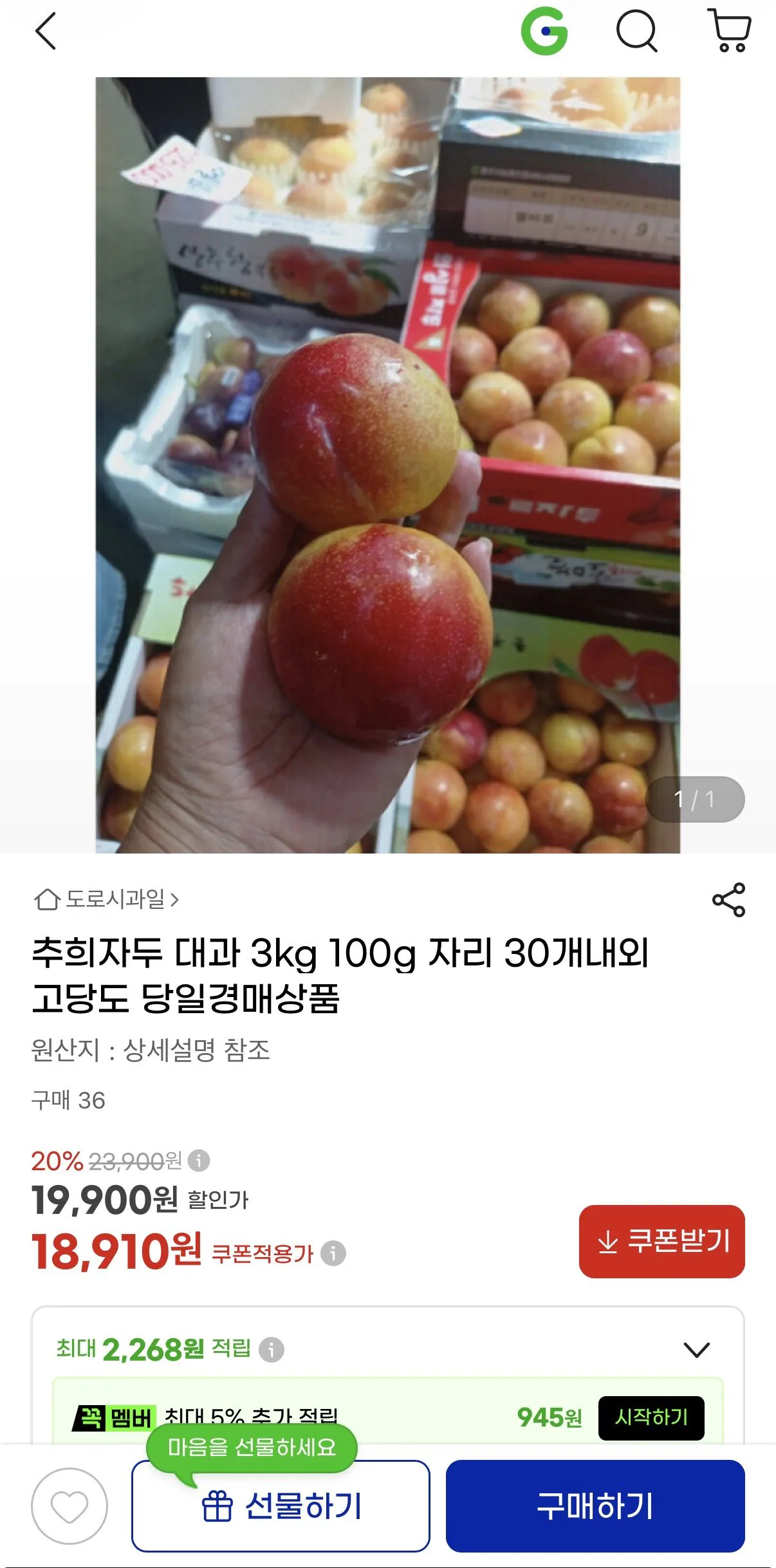 추희자두 대과 3kg