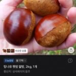 햇밤 알밤 2kg