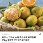 제주 극조생귤 10kg 로얄과