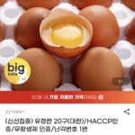 난각번호 1번 유정란 20구 대란