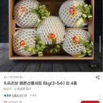 리본 메론 선물세트 8kg 3~5수