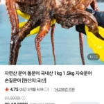 자연산 돌문어 1kg (1-4미)
