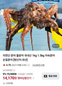 자연산 돌문어 1kg (1-4미)