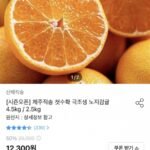 극조생 노지감귤 4.5kg 중대과