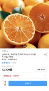 극조생 노지감귤 4.5kg 중대과