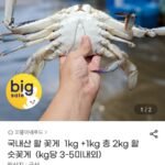 2kg 활 숫꽃게 (kg당 3-5미내외)