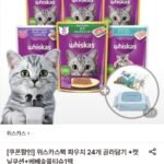 위스카스팩 파우치 24개+캣닢쿠션+베베숲물티슈1팩