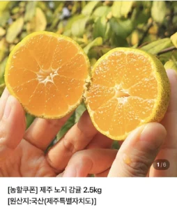 제주 노지 감귤 4.5kg 로얄과