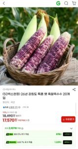26년 강원도 특품 햇 흑찰옥수수 20개