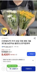 국화 생화 꽃 반단