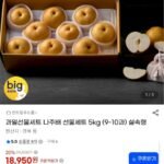 나주배 선물세트 5kg 9-10과 실속형