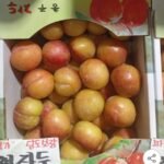 추희자두 대과 3kg 100g급 30개 내외