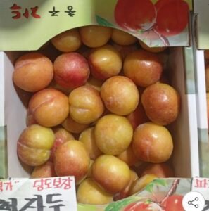 추희자두 대과 3kg 100g급 30개 내외
