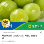 샤인 머스켓 2kg 특품