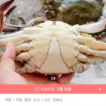 국내산 제철 생물꽃게 2kg 7-10미