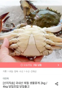 국내산 제철 생물꽃게 2kg 7-10미