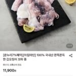 국내산 꼬마갑오징어 500g