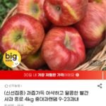 국내산 홍로사과 4kg 중대과