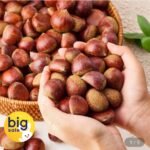 산지직송 부여 함양 산청 햇 밤 중 사이즈2kg
