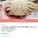국내산 제철 생물꽃게 2kg 7~10미