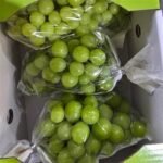 씨없는 포도 샤인머스켓, 랜덤과, 2kg, 1개