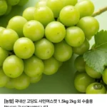 국내산 고당도 샤인머스켓 특품 2kg(3-4수)