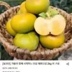 제철 태추단감 중소과 2kg