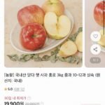 햇 사과 홍로 3kg 중과 10-12과