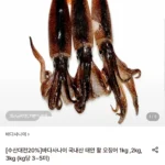 국내산 태안 활 오징어 1kg (3~5미)