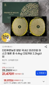 국내산 프리미엄 머스크 멜론 총4.4kg 2입 개당 2.2kg내외