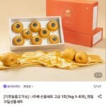 나주배 선물세트 고급 1호(5kg 5-8과)