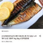 가시제거 노르웨이 순살고등어 1kg