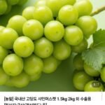 당도선별 특품 샤인머스켓 2kg 2~4수