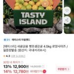 새콤달콤 햇조생감귤 4.5kg
