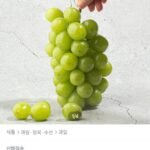 샤인머스켓 2kg x 총 4수