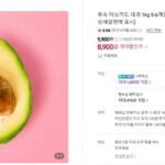 후숙 아보카도 대과 1kg 5-6개입
