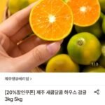 제주 하우스 감귤 3kg (2S-소과)