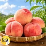 딱딱이 백도복숭아 고당도 4kg 22~24과